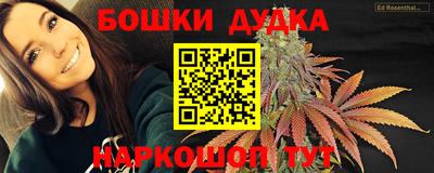 индика Донецк