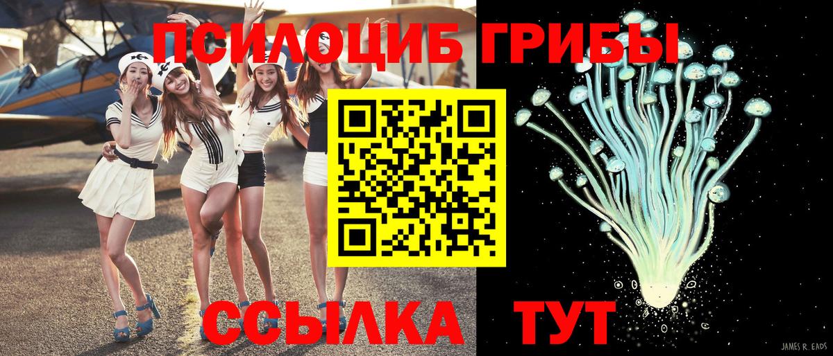 Галлюциногенные грибы мицелий Назрань