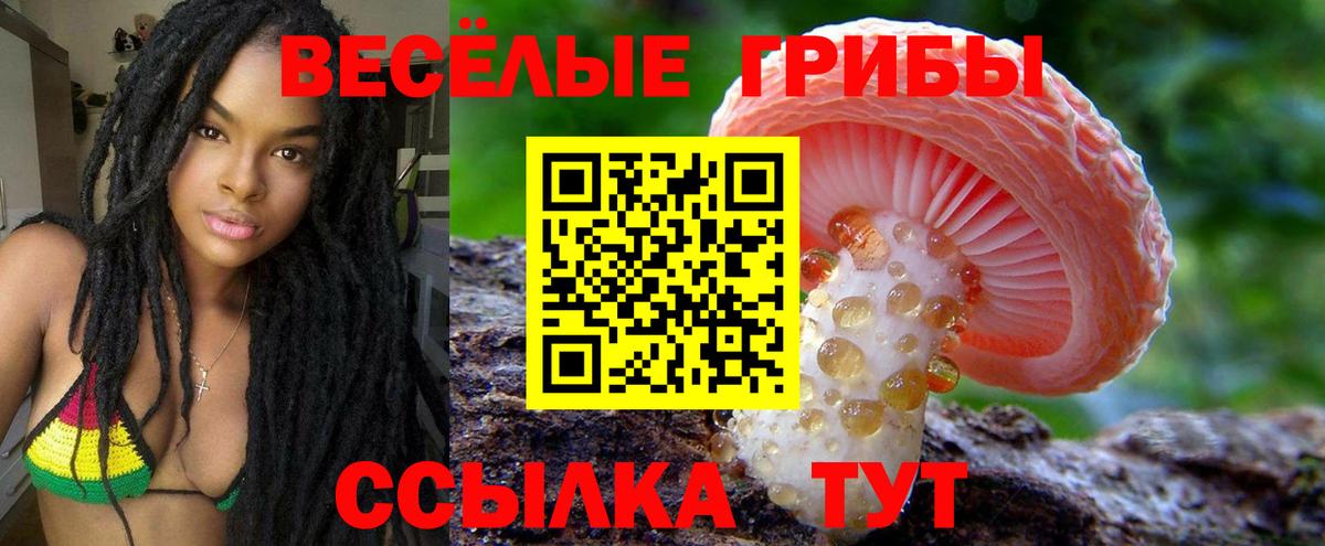 Галлюциногенные грибы мухоморы  Галлюциногенные грибы GOLDEN TEACHER  Вход с VPN  Назрань 